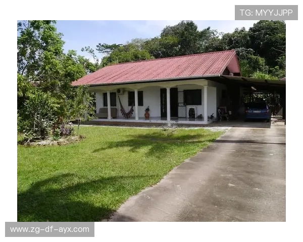 圭亚那足球青训营扩建迎来新阶段，圭亚那 足球